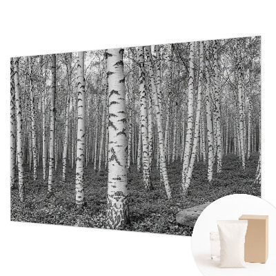 Papel de parede decorativo Floresta de bétulas