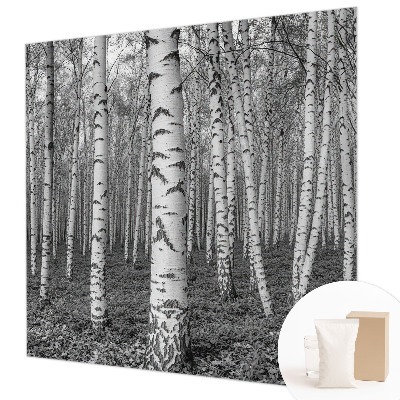 Papel de parede decorativo Floresta de bétulas