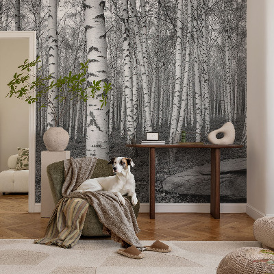 Papel de parede decorativo Floresta de bétulas