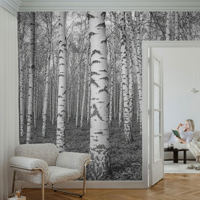Papel de parede decorativo Floresta de bétulas