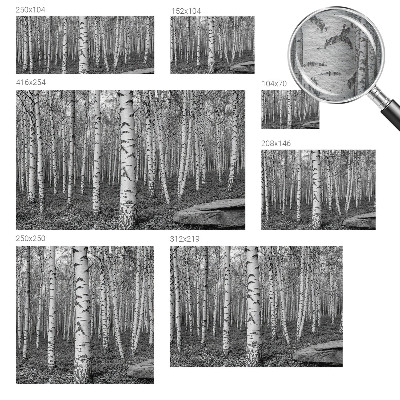 Papel de parede decorativo Floresta de bétulas