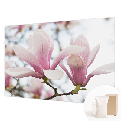 Papel de parede para sala Flores de magnólia