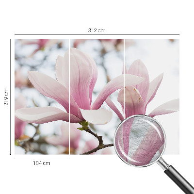 Papel de parede para sala Flores de magnólia