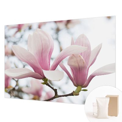 Papel de parede para sala Flores de magnólia