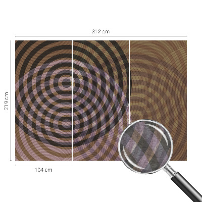 Mural de fotos na parede Círculos hipnotizantes
