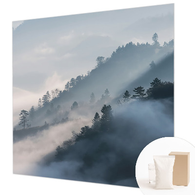 Papel de parede para sala Paisagem enevoada