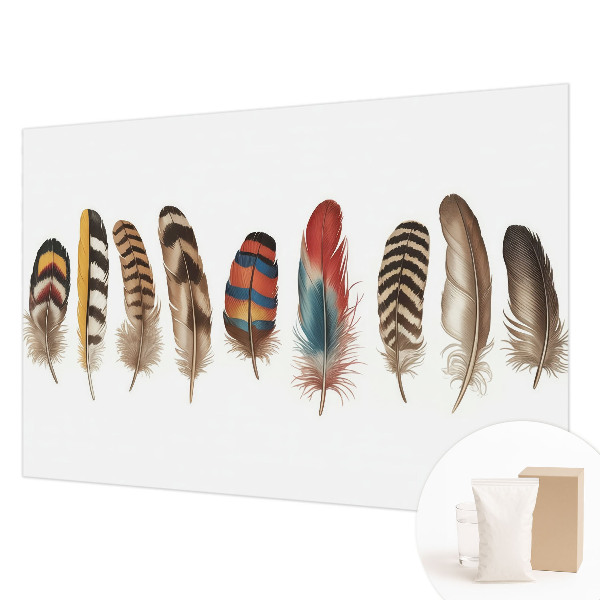 Papel de parede decorativo Penas coloridas