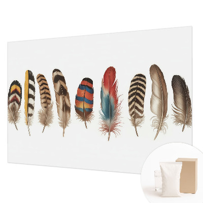Papel de parede decorativo Penas coloridas