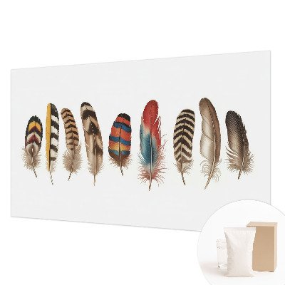 Papel de parede decorativo Penas coloridas