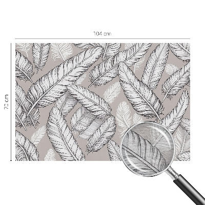 Papel de parede fotográfico penas sutis