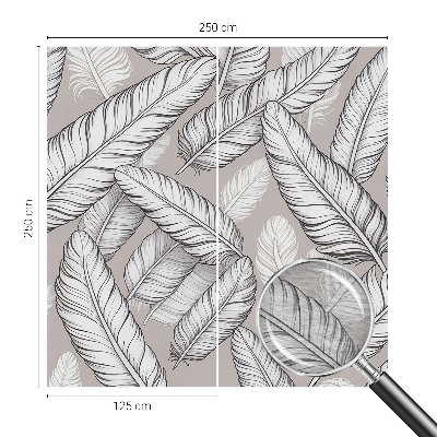 Papel de parede fotográfico penas sutis