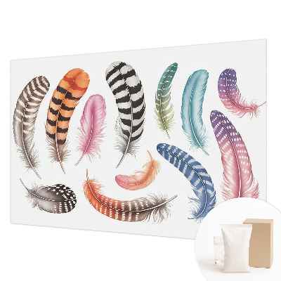 Papel de parede Penas em tons pastel