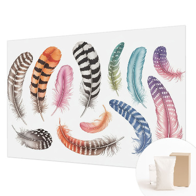 Papel de parede Penas em tons pastel