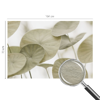 Papel de parede fotográfico Elegância natural