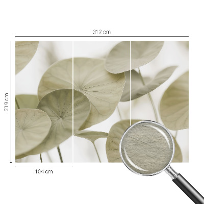 Papel de parede fotográfico Elegância natural