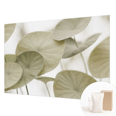 Papel de parede fotográfico Elegância natural