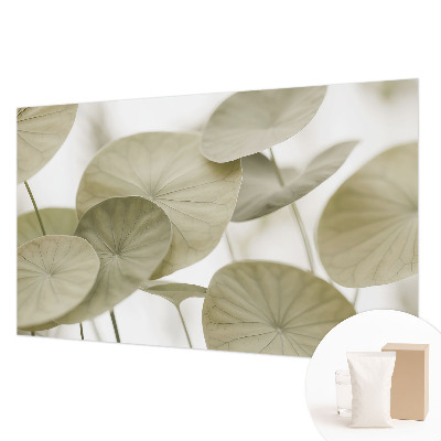 Papel de parede fotográfico Elegância natural