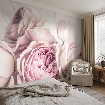 Papel de parede para quarto Rosas cor-de-rosa