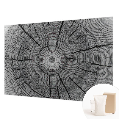 Papel de parede Harmonia da floresta