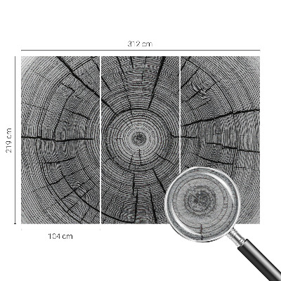 Papel de parede Harmonia da floresta