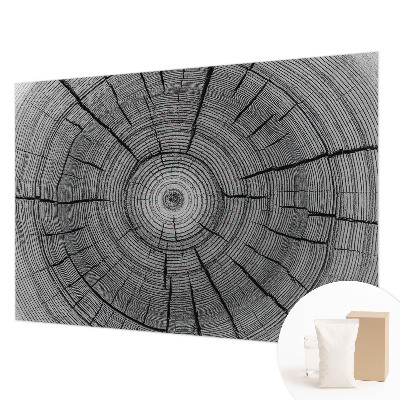 Papel de parede Harmonia da floresta