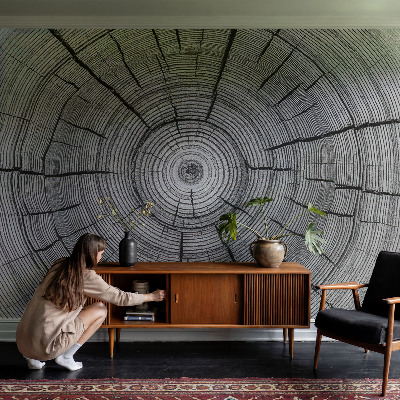 Papel de parede Harmonia da floresta
