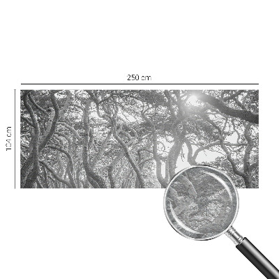 Mural fotográfico Floresta atmosférica