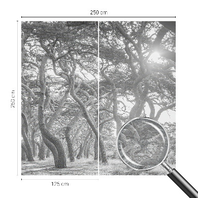 Mural fotográfico Floresta atmosférica