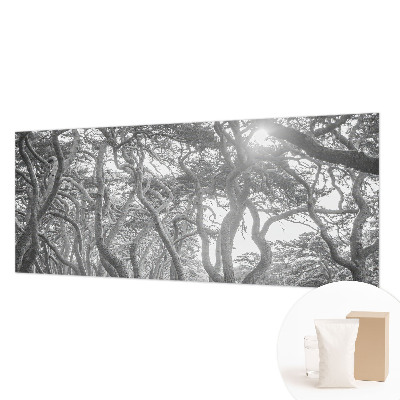 Mural fotográfico Floresta atmosférica