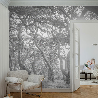 Mural fotográfico Floresta atmosférica