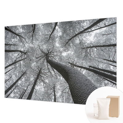 Fotomural Paisagem de inverno