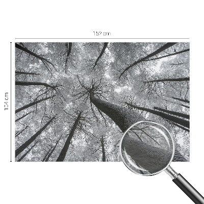 Fotomural Paisagem de inverno