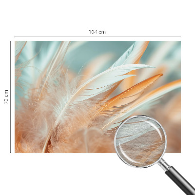 Papel de parede decorativo Penas delicadas