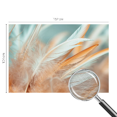Papel de parede decorativo Penas delicadas