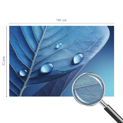 Papel de parede fotográfico Folha Azul