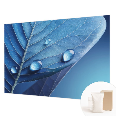 Papel de parede fotográfico Folha Azul