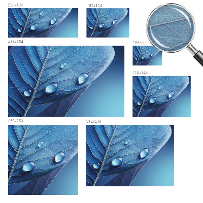 Papel de parede fotográfico Folha Azul