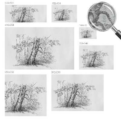 Papel de parede Árvore da floresta