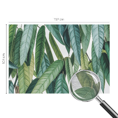 Mural de parede Folhas naturais
