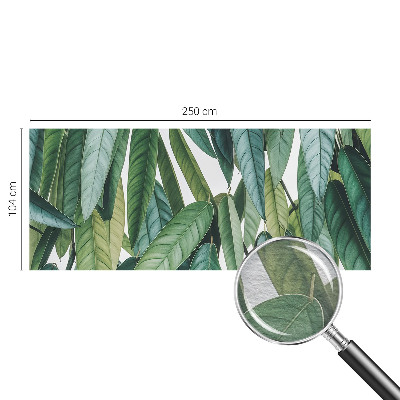 Mural de parede Folhas naturais