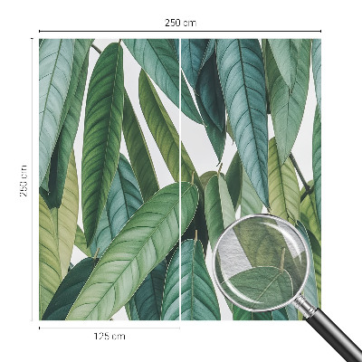 Mural de parede Folhas naturais