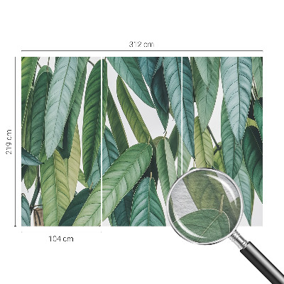 Mural de parede Folhas naturais