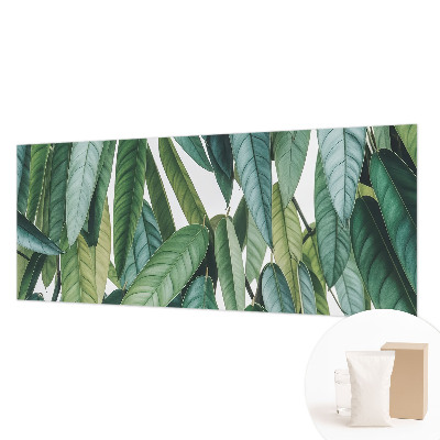 Mural de parede Folhas naturais