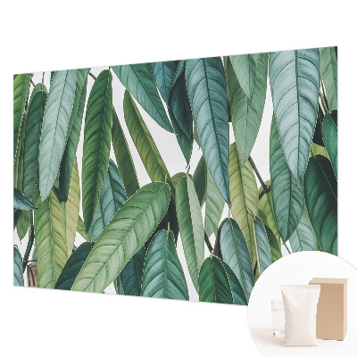 Mural de parede Folhas naturais