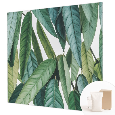 Mural de parede Folhas naturais