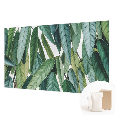 Mural de parede Folhas naturais