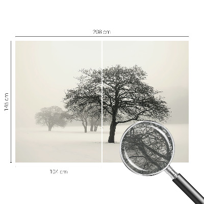 Papel de parede fotográfico Árvores de inverno