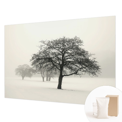 Papel de parede fotográfico Árvores de inverno