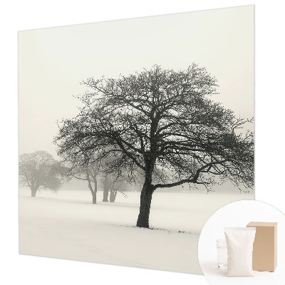 Papel de parede fotográfico Árvores de inverno