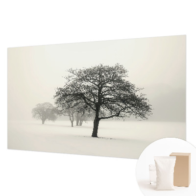 Papel de parede fotográfico Árvores de inverno
